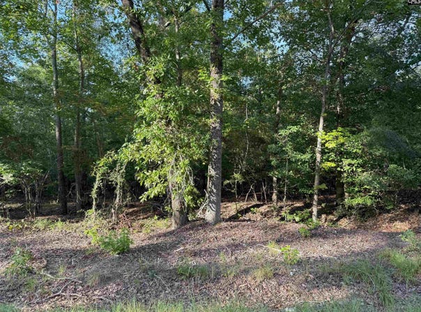 204 Willie Wilson Road, Eastover, SC 29044