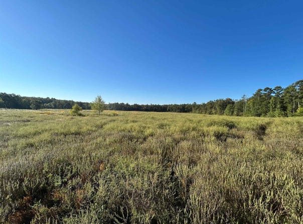 Polk Road 178, Mena, AR 71953