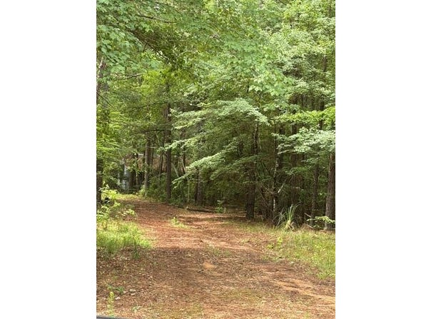 53 Robinson Road, Seale, AL 36875