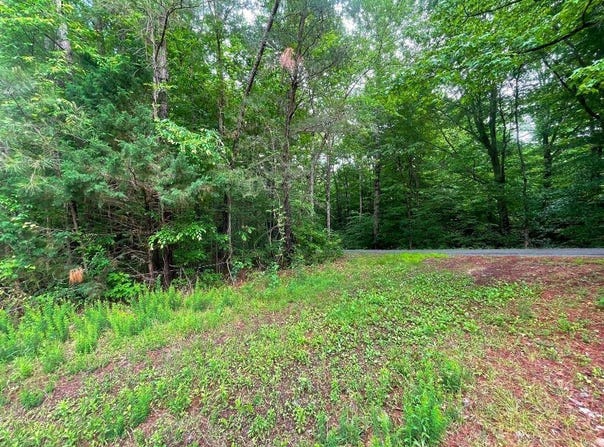 00 Mahixon Road, King William, VA 23106