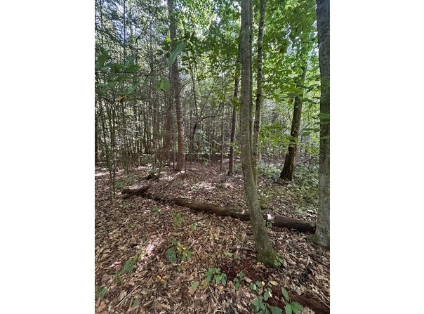 Slick Rock Rd, Eolia, KY 40862