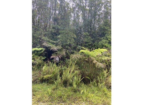 ROAD 4, Volcano, HI 96785