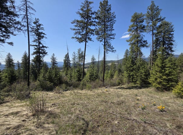 2593 BURNT VALLEY RD, CHEWELAH, WA 99109
