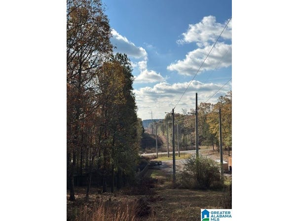 113 CREST DRIVE, CHELSEA, AL 35043