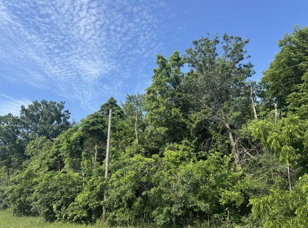 Vacant Land Us Highway  41, Lake Village, IN 46349