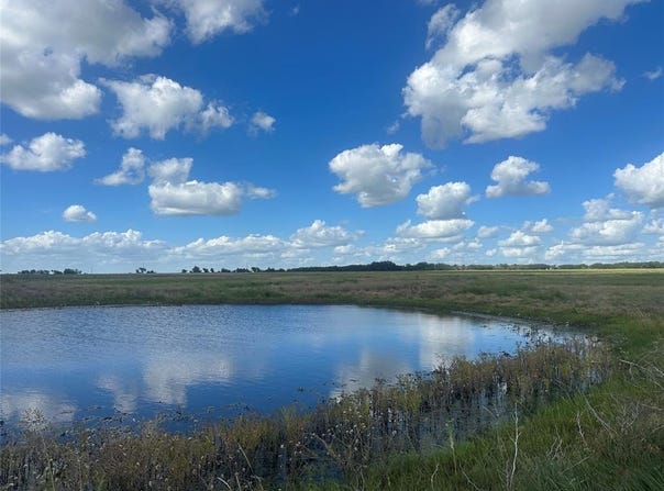 Tbd County Road 242, Priddy, TX 76870