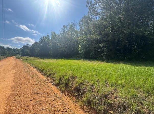 Lewis Drive lot: #12, Georgetown, GA 39854