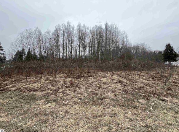 LOT 19 CRESTVIEW DRIVE, CADILLAC, MI 49601