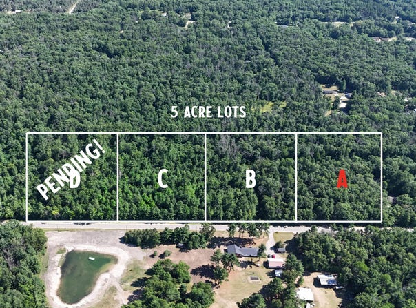 Par A W Almy Road, Howard City, MI 49329