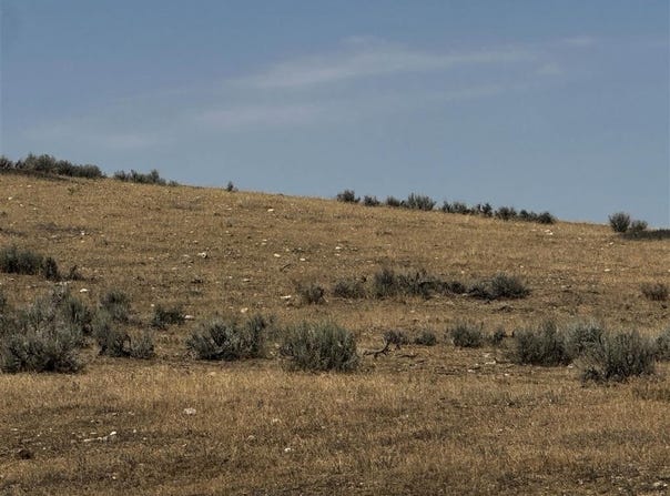 TBD Hwy 14 E, Shell, WY 82441