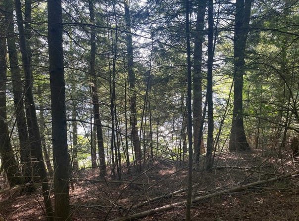 17197 PATTI Lane, TOWNSEND, WI 54175