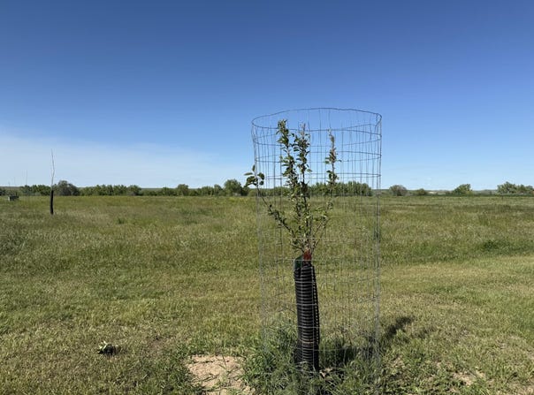 TBD Lot 3 Wild West Place, Belle Fourche, SD 57717