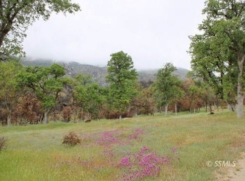 22885 Mistletoe Court, Caliente, CA 93518