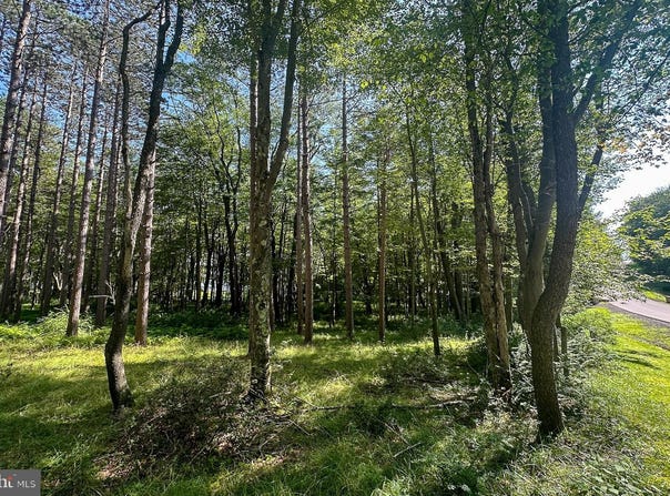 LOT 25 HOLY CROSS DRIVE, OAKLAND, MD 21550