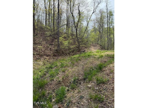 0 Pine Mountain Road, Rogersville, TN 37857