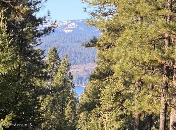 NKA S Edgewater Dr, Harrison, ID 83833