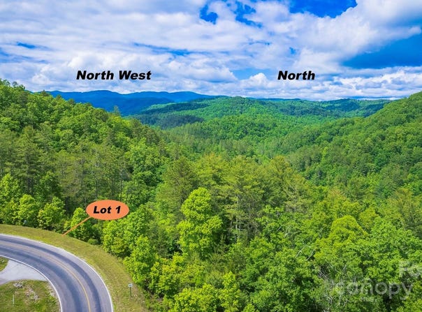 Reynolds Parkway lot: 1, Ferguson, NC 28624