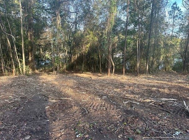 Blue Pine Circle lot: 65, Brookwood, AL 35444
