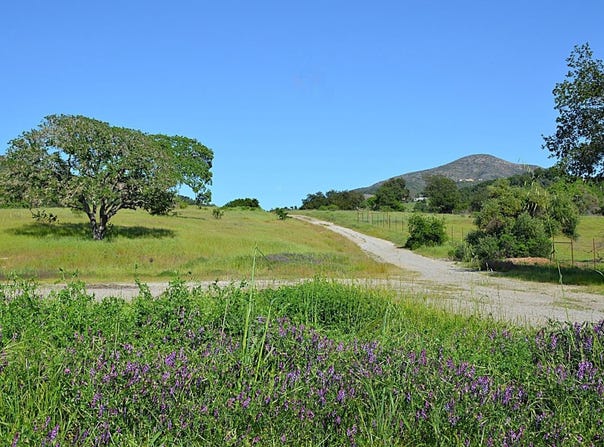 2186 Monticello Road, Napa, CA 94558