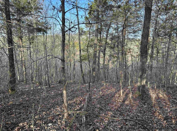 000 County Road 145, Alton, MO 65606