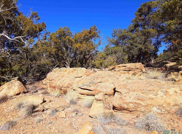 26 David's Rock, Pinehill, NM 87357