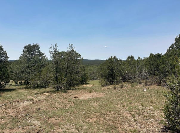 of Hwy 217, Tijeras, NM 87059