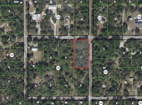 12076 W Fig Tree Lane, Crystal River, FL 34428
