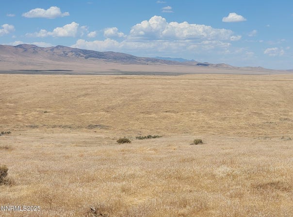 APN 008-090-06, Imlay, NV 89418