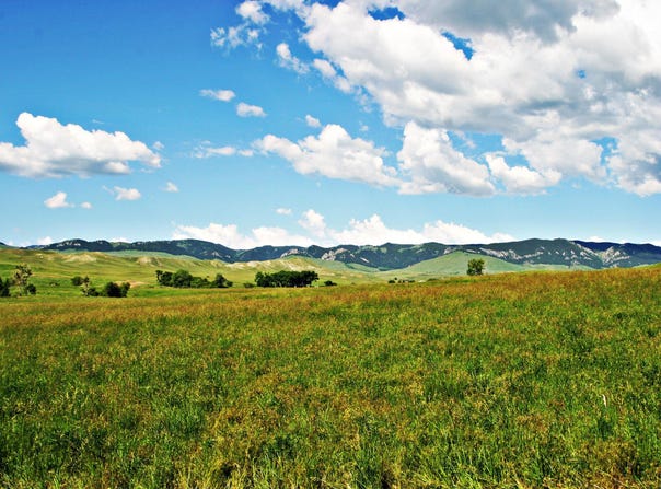 77 Sand Creek Ranch Road, Buffalo, WY 82834