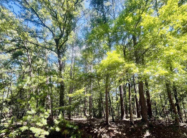 16 Pamplona Lane, Hot Springs Village, AR 71909
