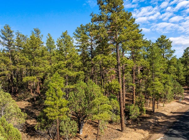4460 W Hawthorn Road, Show Low, AZ 85901
