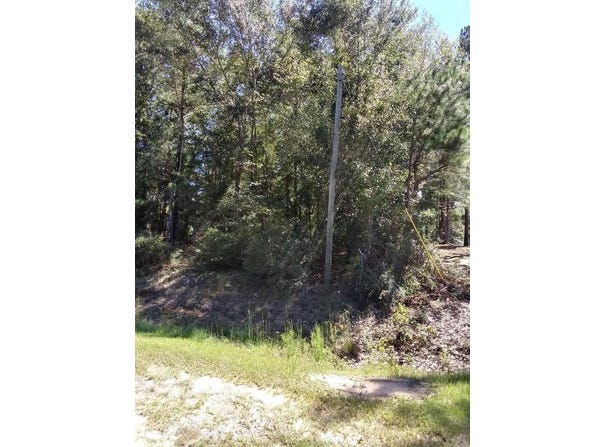 Glover Rd., Harrison, GA 31035