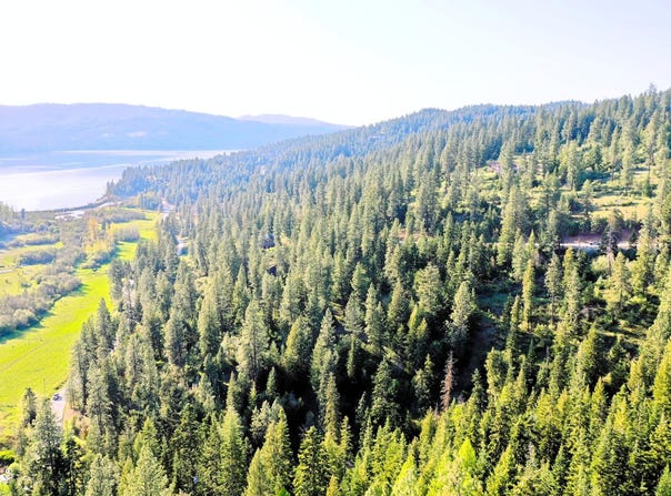 NKA Deer Rd, Harrison, ID 83833