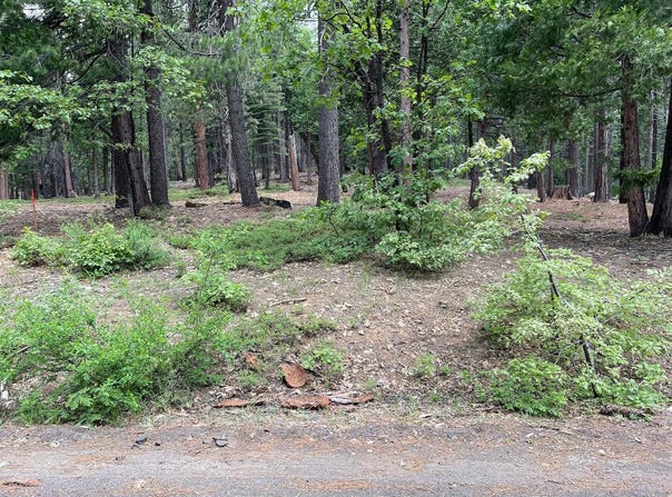 Sierra Parkway, Camp Connell, CA 95223