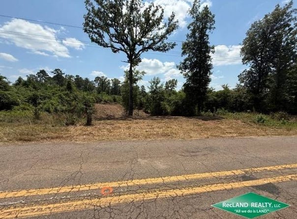 0 Hwy 151, Downsville, LA 71234