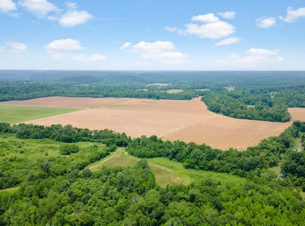 000 Old River Road, Zalma, MO 63787
