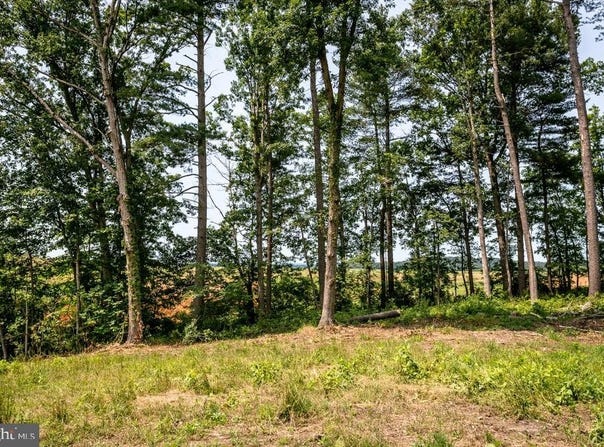 0 PINEY WOODS ROAD, TIMBERVILLE, VA 22853
