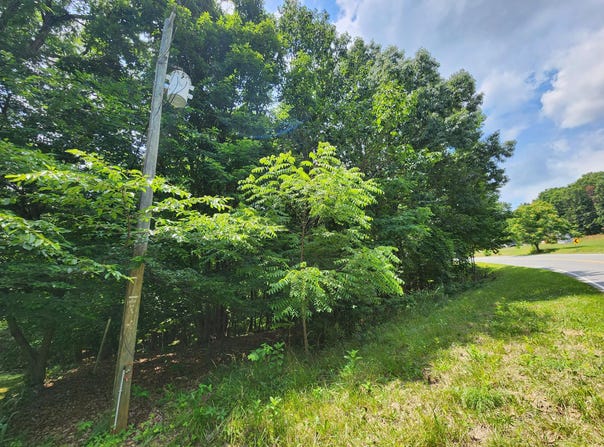 0 Diamond Hill RD, Moneta, VA 24121