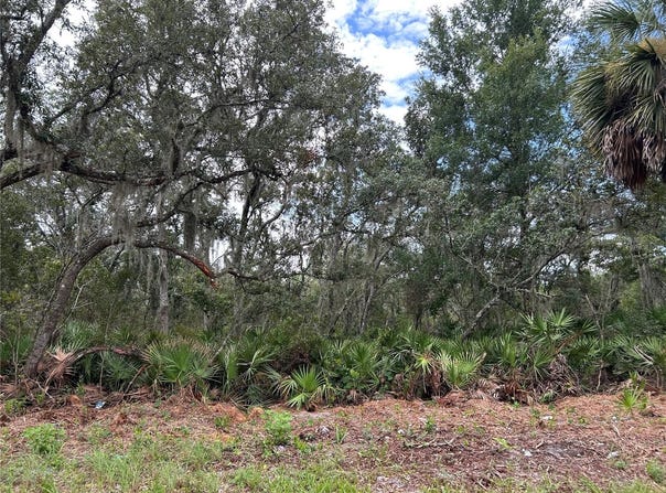 PETERSON Road, PIERSON, FL 32180