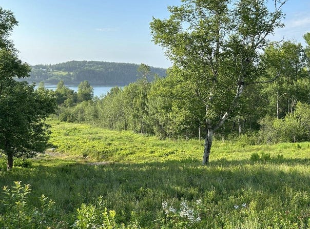 27 Redoubt Hill Road, Eastport, ME 04631