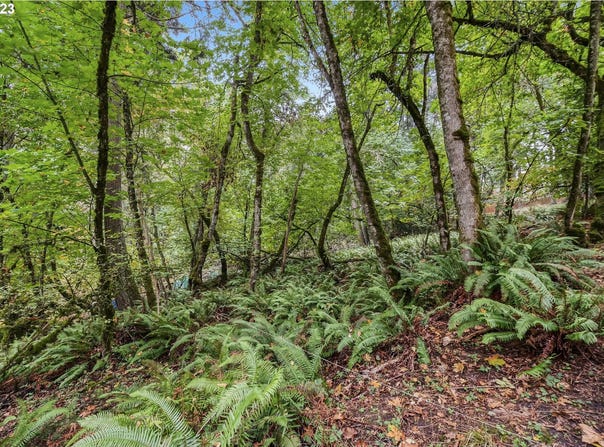 N Shasta Loop, Eugene, OR 97405