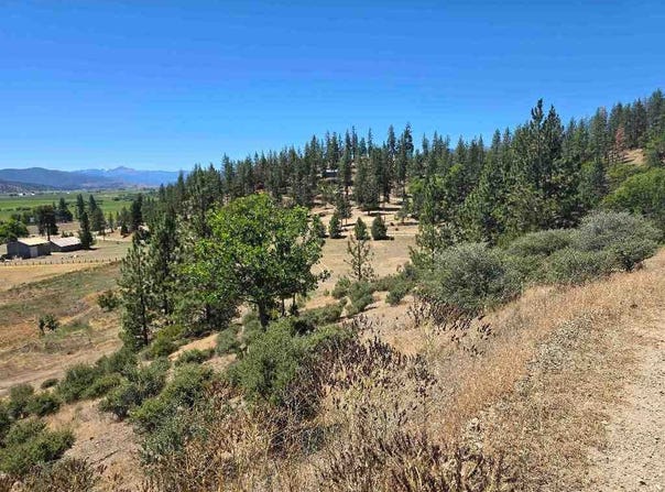 124 Chapporal, Fort Jones, CA 96064-0000