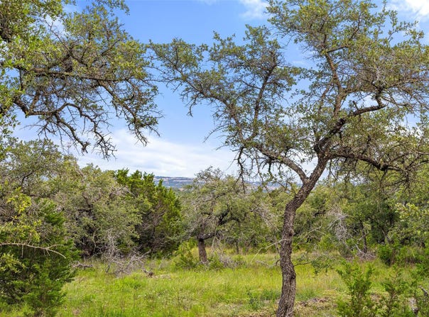 31860 Mirela Ann Rd, Dripping Springs, TX 78620