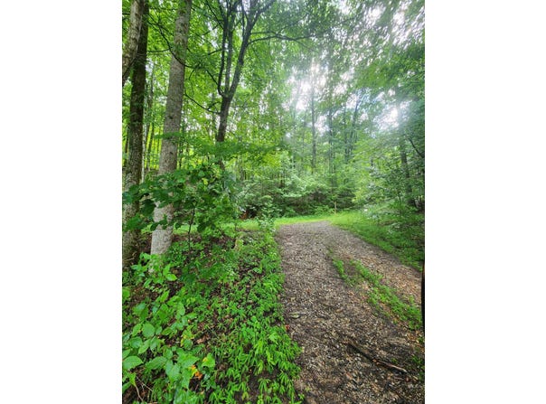 0 Highway 156, South Pittsburg, TN 37380