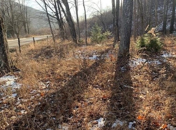 UPPER BACK CREEK RD, MONTEREY, VA 24465