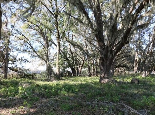 CR 48, BUSHNELL, FL 33513