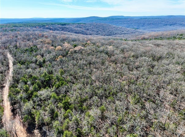 Liberty Hill Road lot: Wp001, Natural Dam, AR 72948