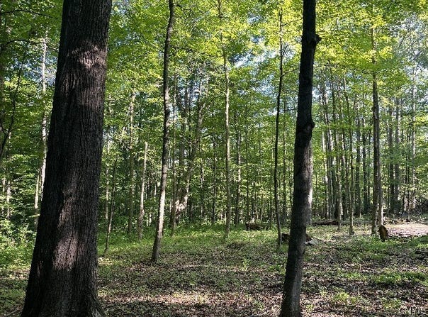 Conesus Sparta Townline Road, Sparta, NY 14437