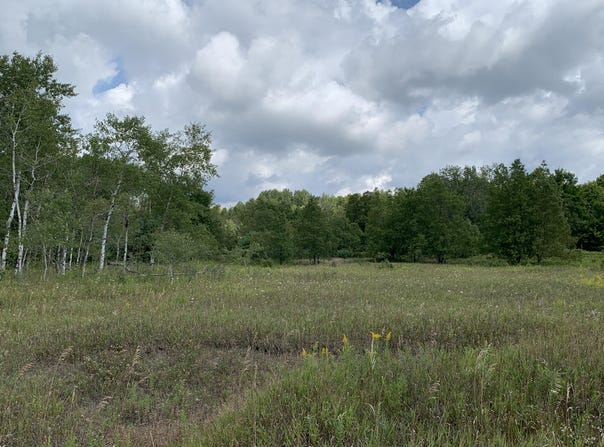 Old Mackinaw Trail, Boyne Falls, MI 49713