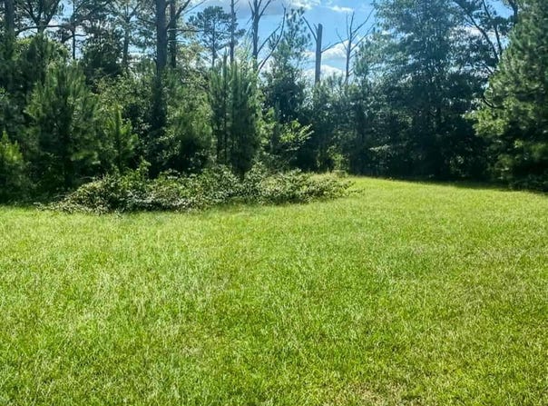 762 Aldridge, Buena Vista, GA 31803